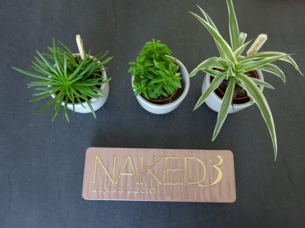 NAKED 3