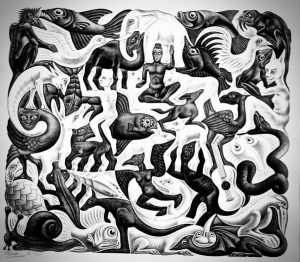 Orde in chaos Escher